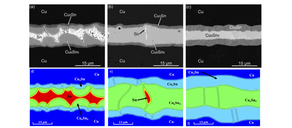 On the interfacial phase growth and vacancy evolution during accelerated electromigration in Cu/Sn/Cu microjoints